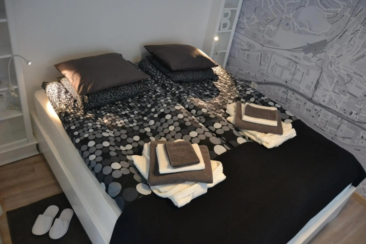 Apartment Društveni dom