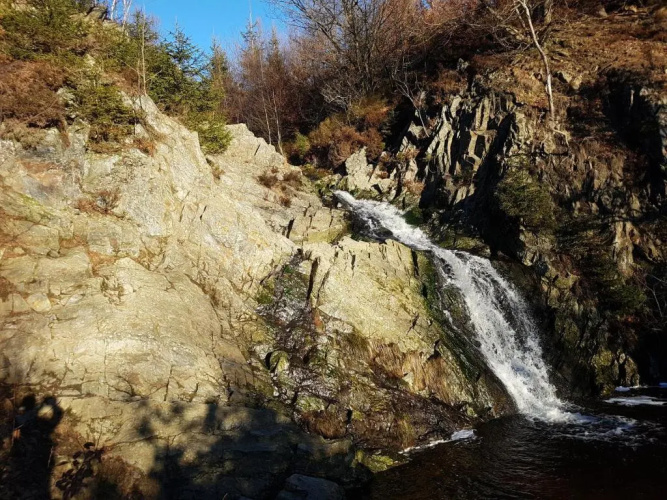 La mignonne des fagnes