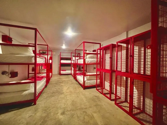 Bed in Dorm