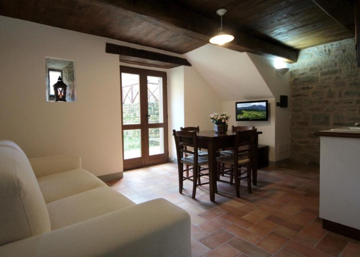Basement Apartment