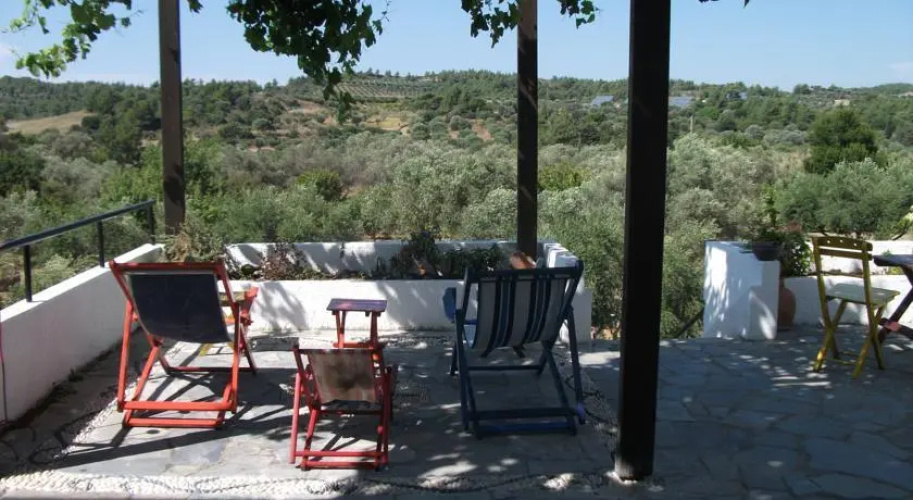 Green Eco House