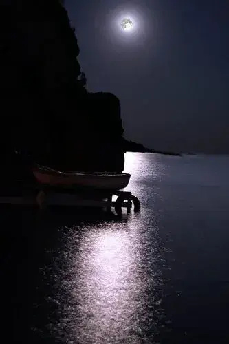 Le Sirene