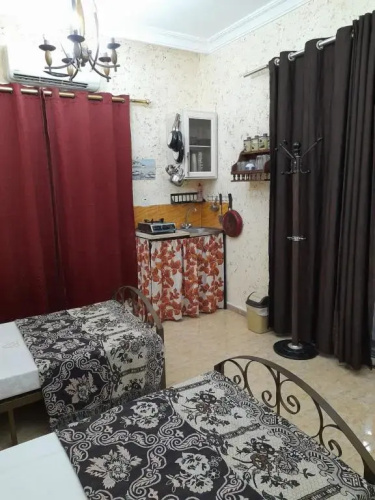 mini house