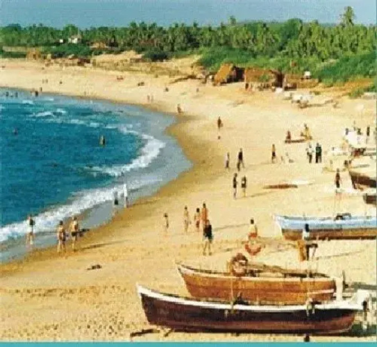 Mapple Viva Goa Resort