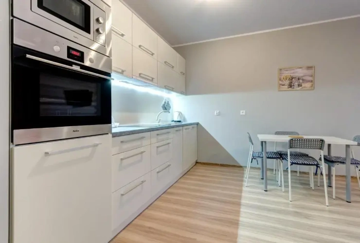 1 Bedroom Classic Apartment with balcony