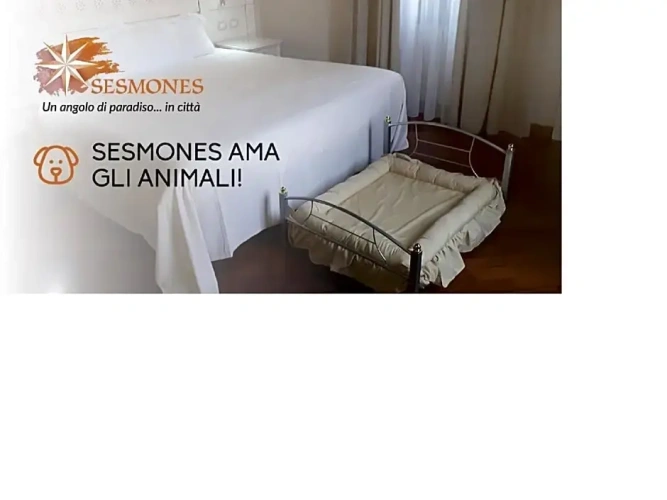 Deluxe Double room with view