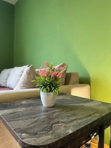 Yellow Moon Hostel&Apartment