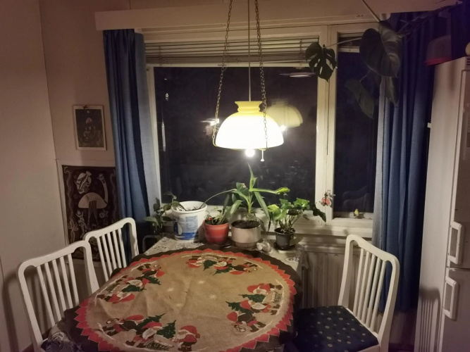 Old Cozy Wood House