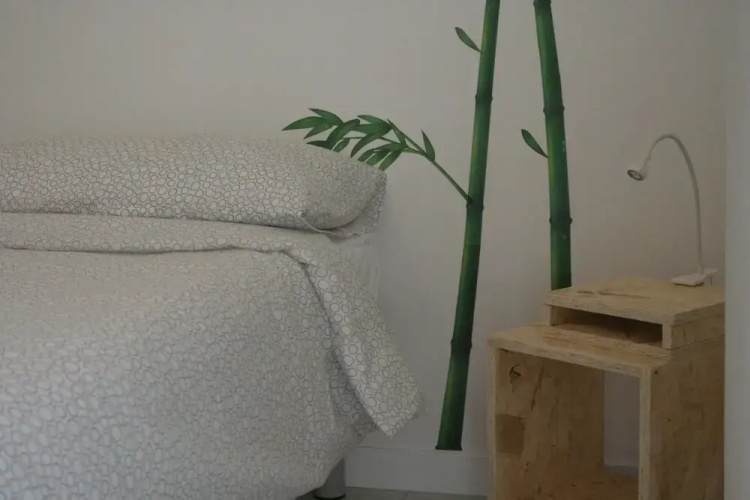 Urban Oasis Hostel