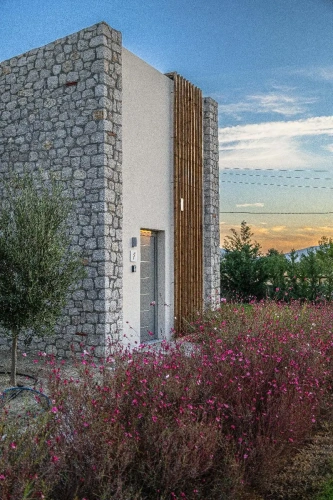Deluxe Villa with pool view