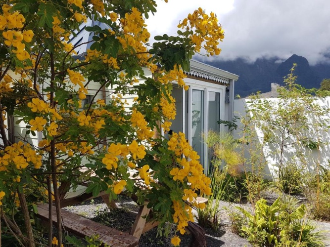 Double Studio with mountain view