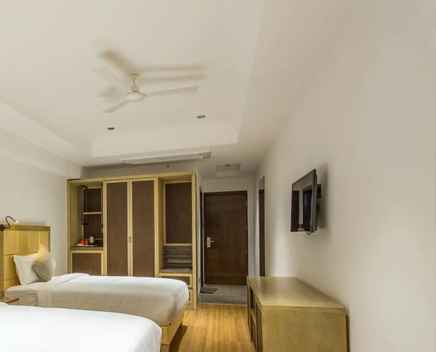 Deluxe Twin room with city view
