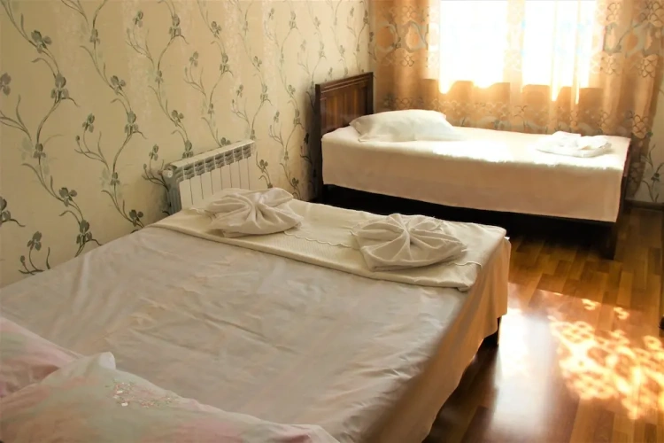 Comfort Twin room with garden view