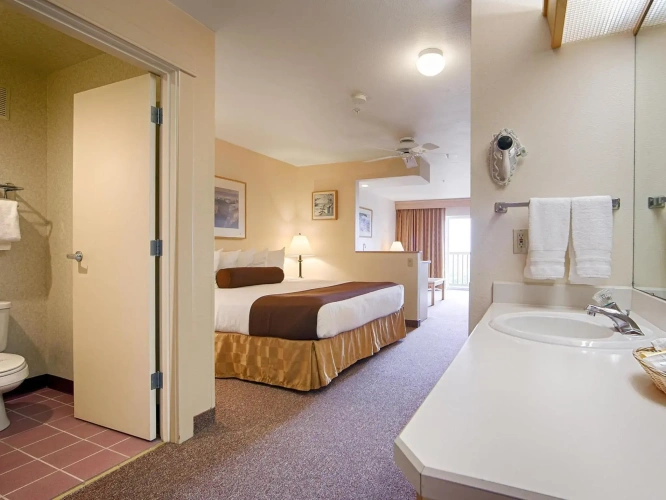 Standard Double room