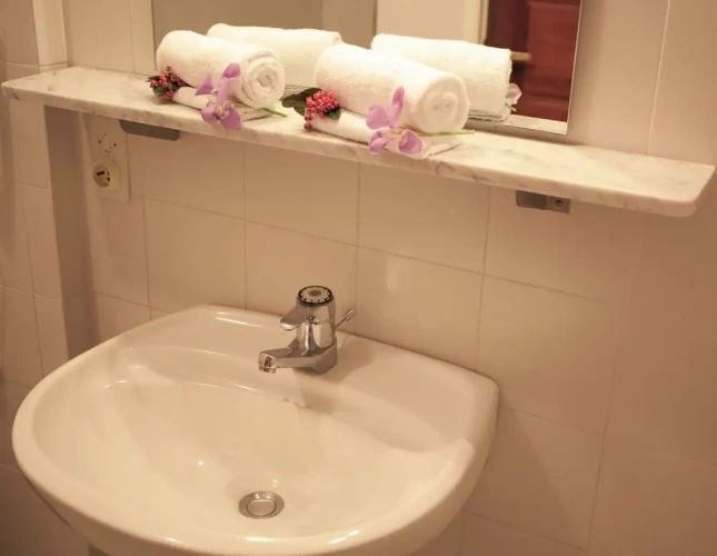 Standard Double room with balcony and with view