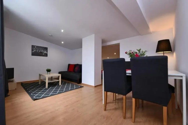 1 Bedroom Apartment