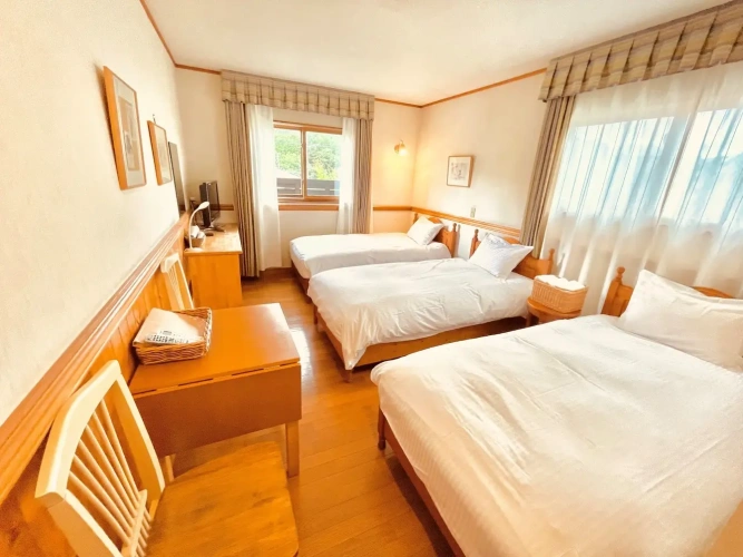 Standard Triple room