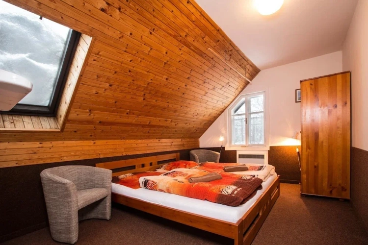 Chalet with mountain view