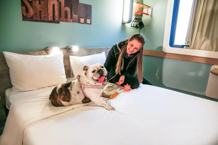 ibis budget Sorocaba