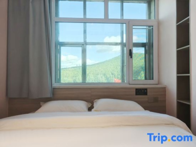 Standard Double room with mountain view