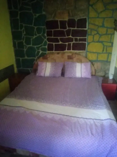 pink Hostel Mimi