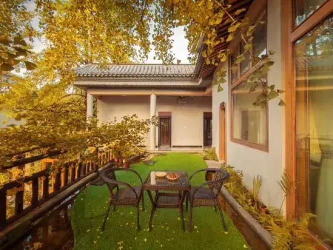 Ginkgo Village