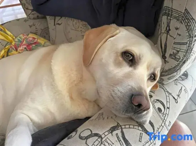 Torquay Terrace B&BOver view