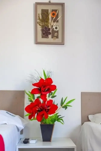 1 Bedroom Standard Double room