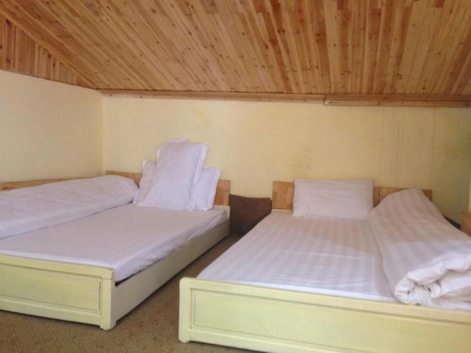 Sapa news hostel
