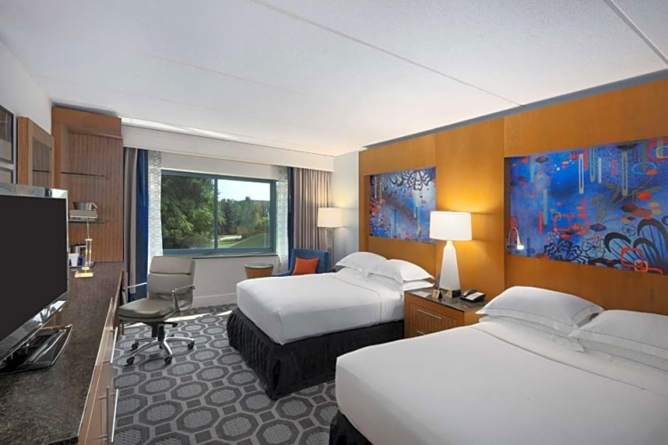 Deluxe room with city view