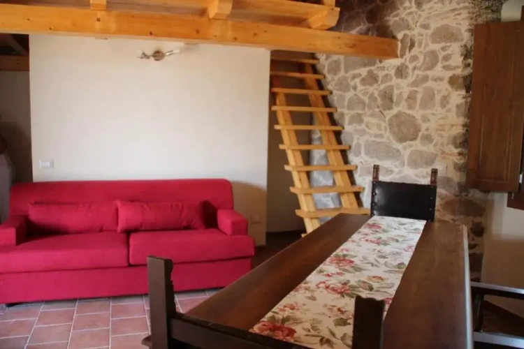 Duplex Studio