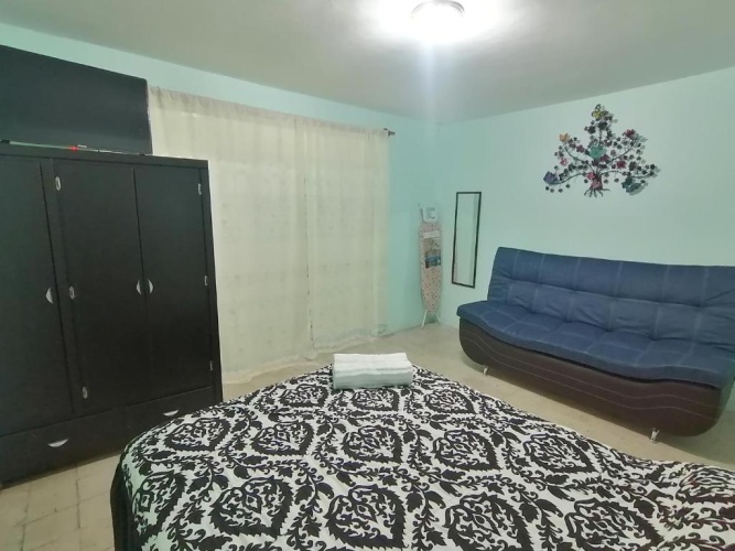 Basement Apartment