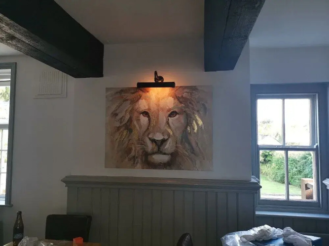 The Lazy Lion