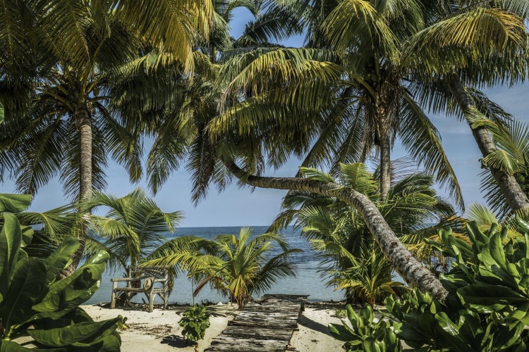 Four Seasons Resort Seychelles at Desroches Island photo 37