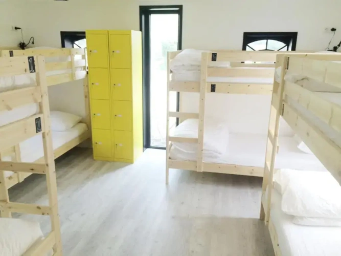 Bed in Dorm