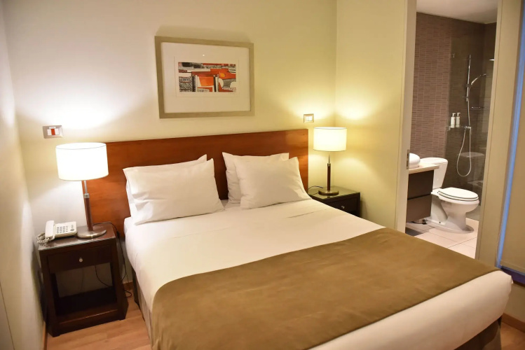 Lastarria Hotel & Aparts