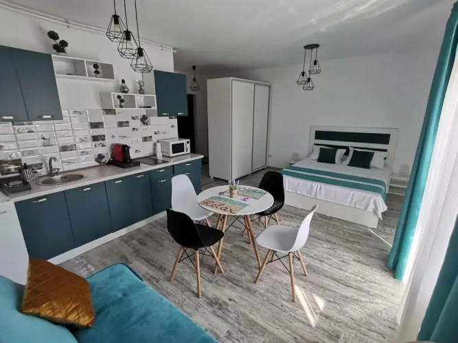 1 Bedroom Apartment