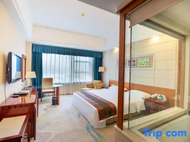 Executive Suite with city view