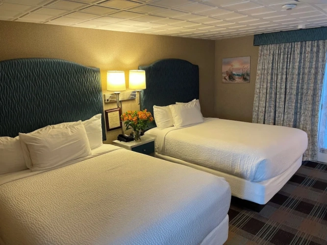 Premium Quadruple room