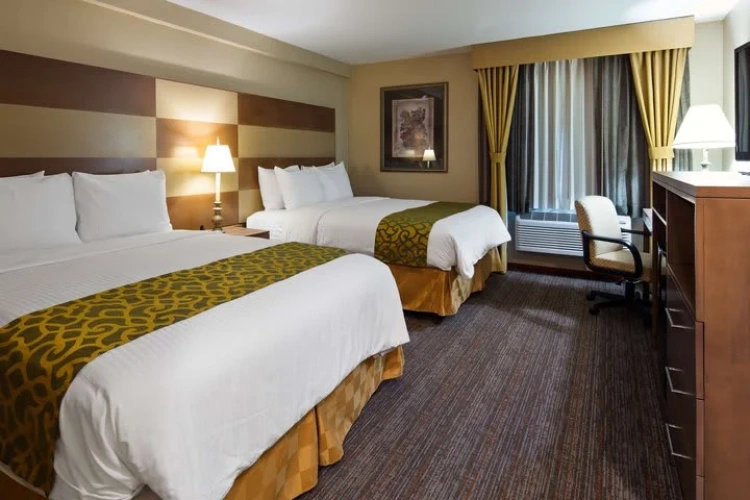Double Suite