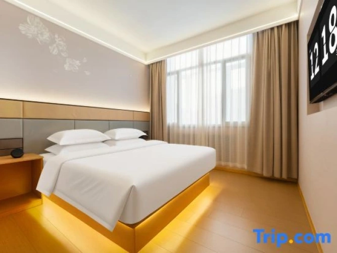 Superior Double Suite