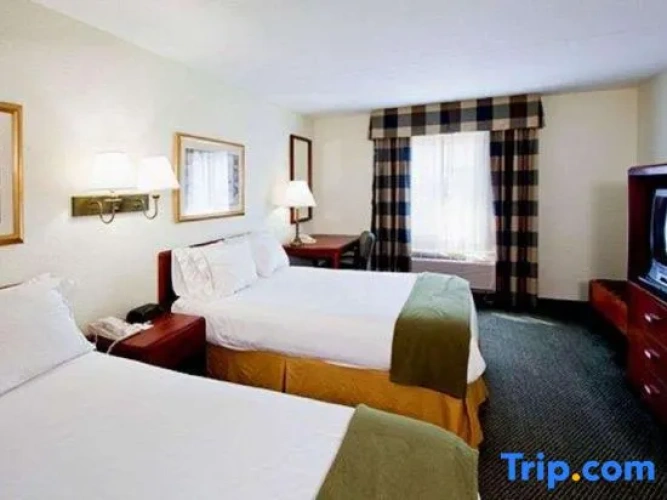 Quadruple Suite