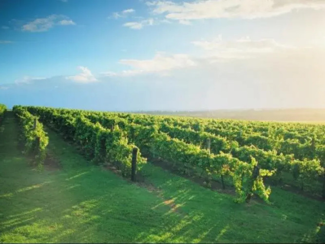 Rosedale Bed and BreakfastOver view