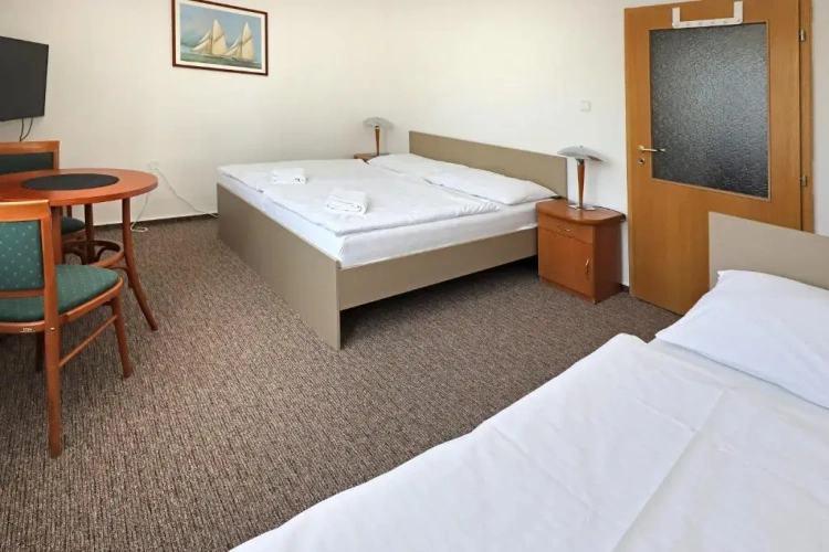 Standard Triple room with land view