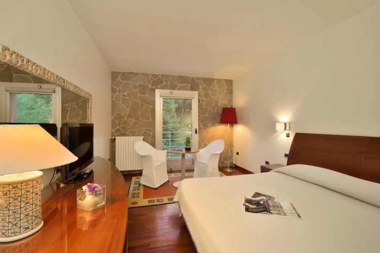 Standard Double room with balcony and with mountain view