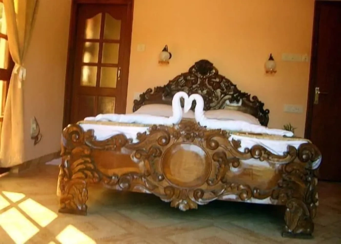 Deluxe Double room with balcony