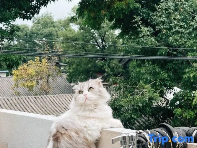 Outside