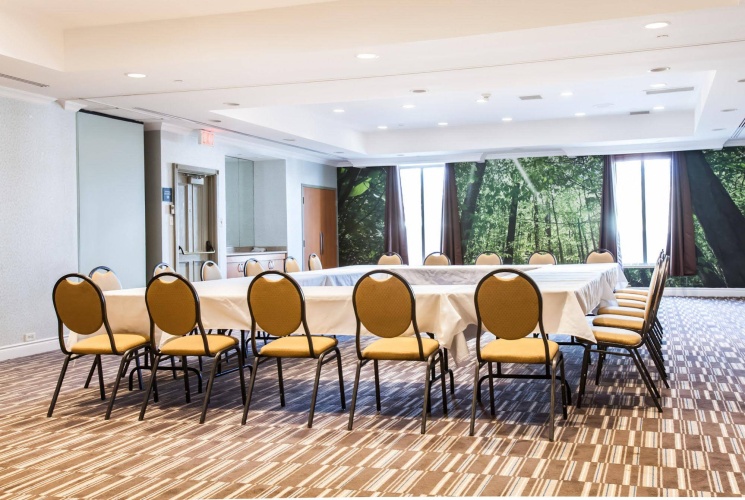 Best Western Premier Toronto Airport Carlingview Hotel photo 27
