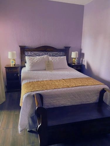 Standard Double room with garden view