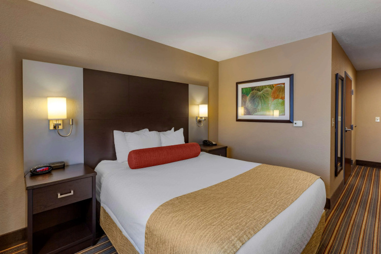 Best Western Plus Woodstock Inn & Suites photo 6